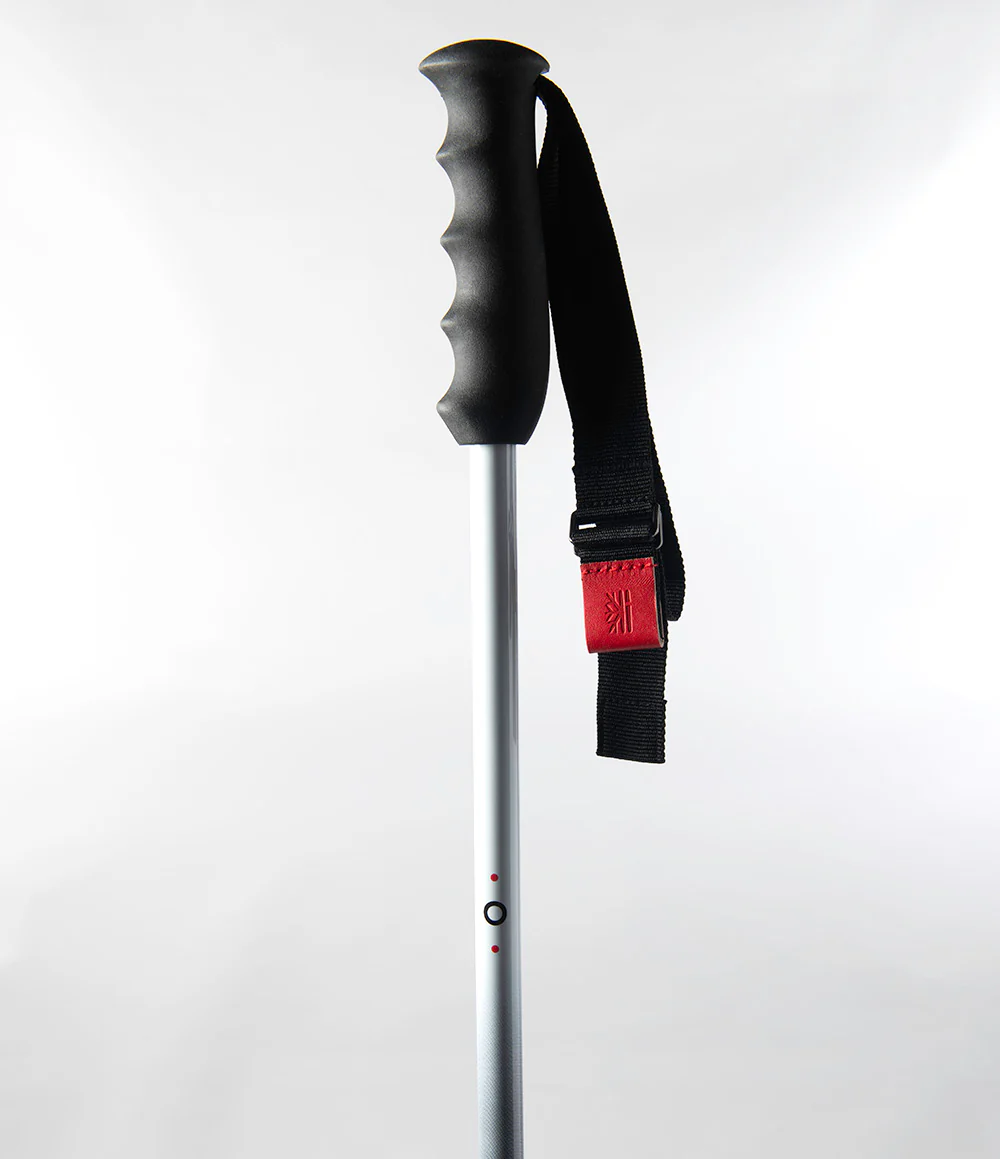 Fixed Carbon Pole - Image 4